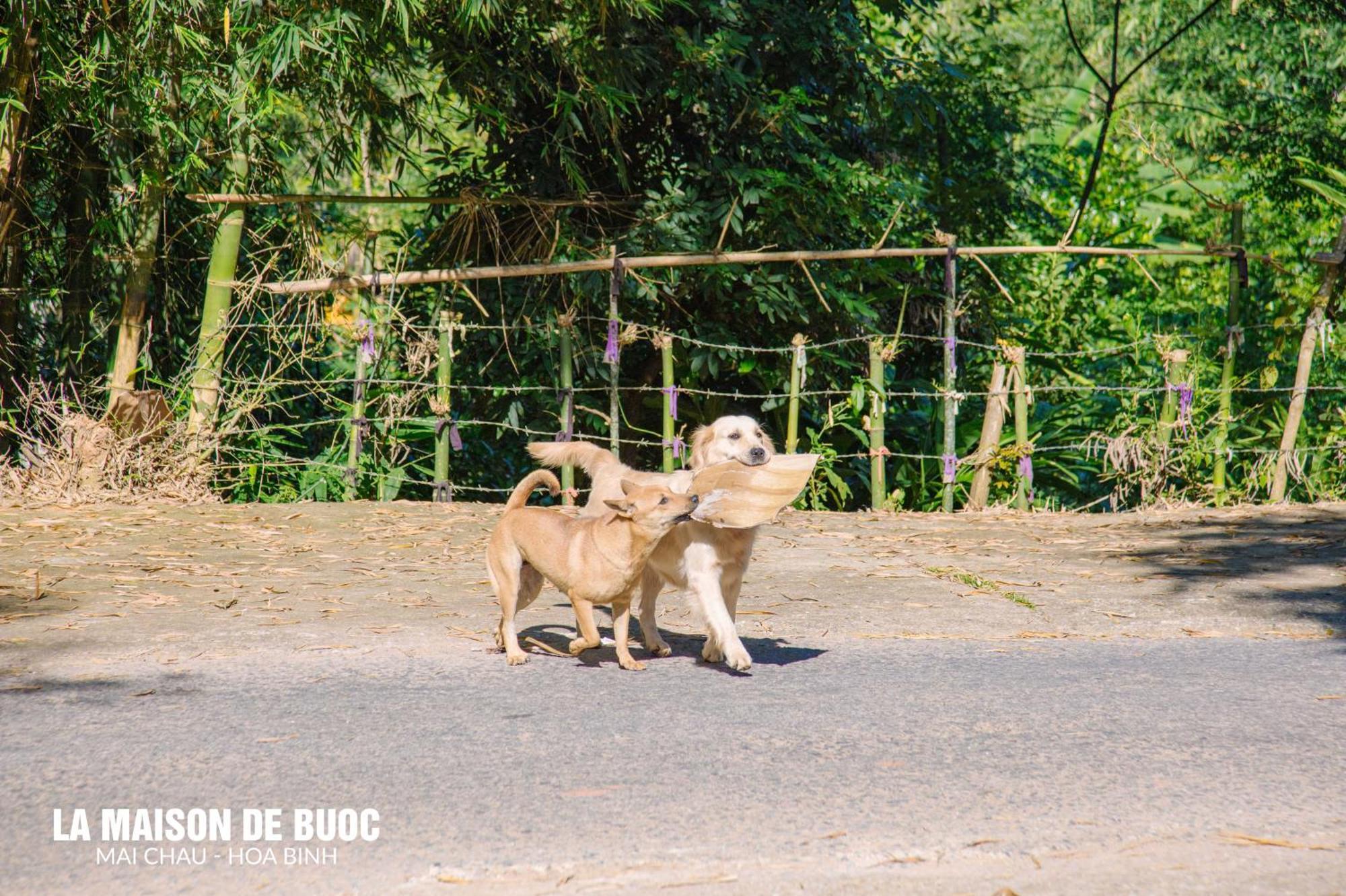 La Maison De Buoc Mai Chau Exteriör bild