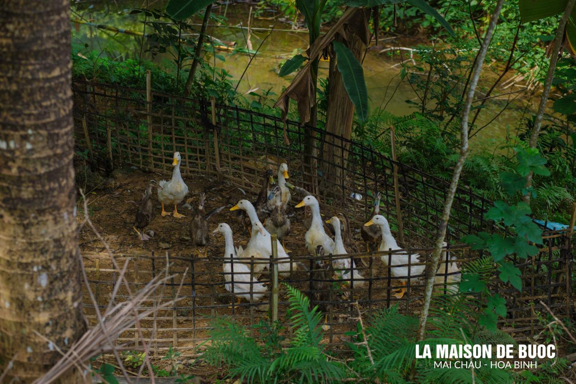La Maison De Buoc Mai Chau Exteriör bild